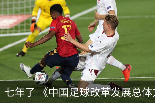 七年了 《中国足球改革发展总体方案》坚定落实了吗